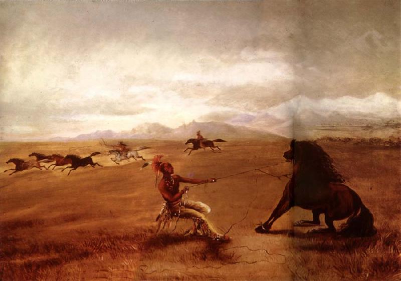 George Catlin Catching wild horses oil painting picture